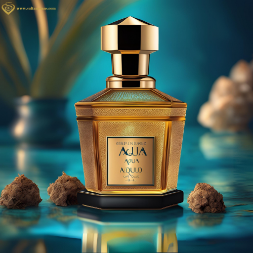 Aqua Oud Kokusu